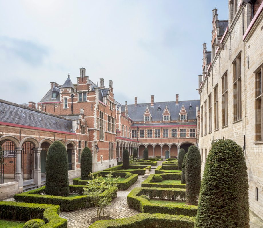 Альтернативный текст