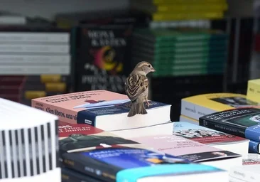 Большие ставки Алины Зарекайте из книжного магазина La Fabulosa на Мадридскую книжную ярмарку 2026 года