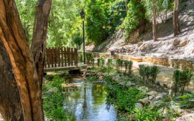 Город Гранада, который празднует Ночь Сан-Хуана с водой