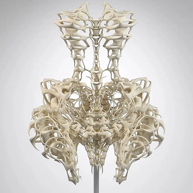 Платье-скелетон, Iris van Herpen